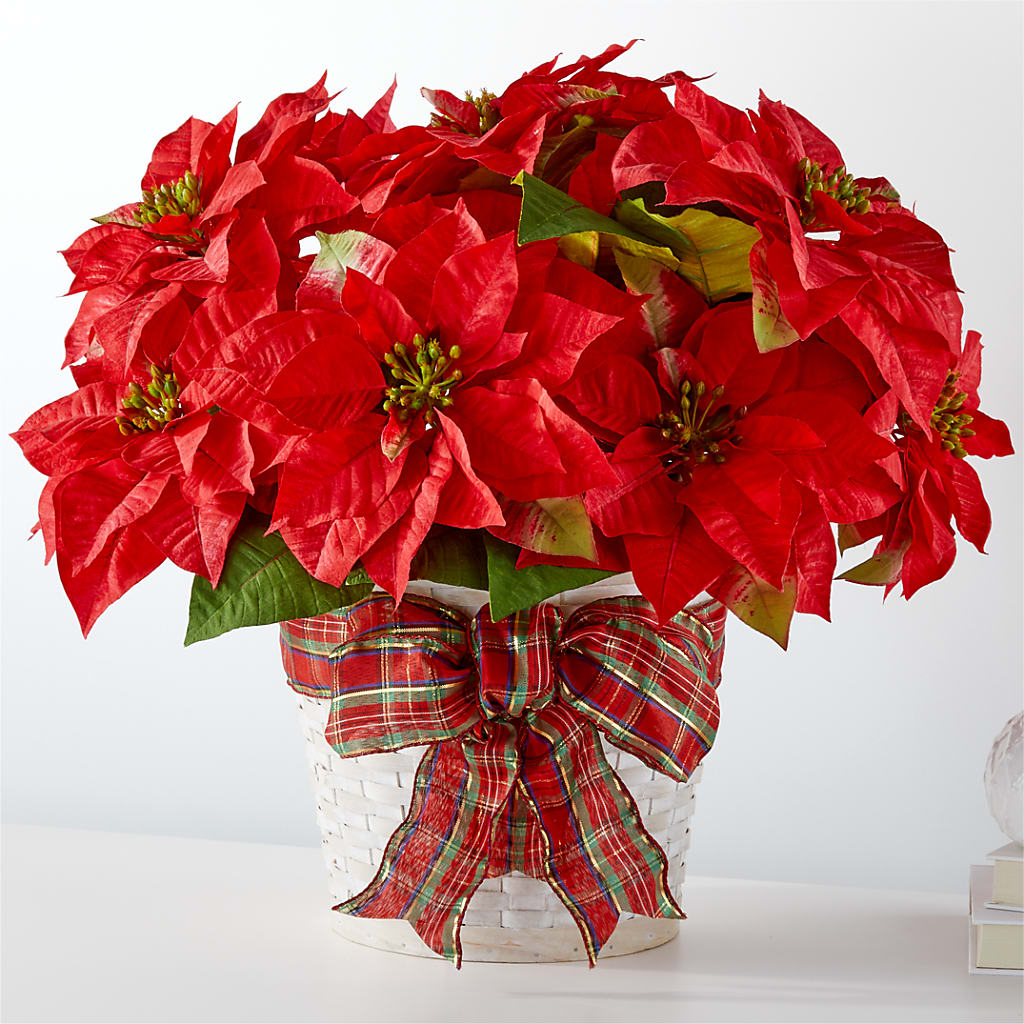 Happiest Holidays Poinsettia – Fleuriste East Angus Et Maison Du Cadeau, East Angus PQ