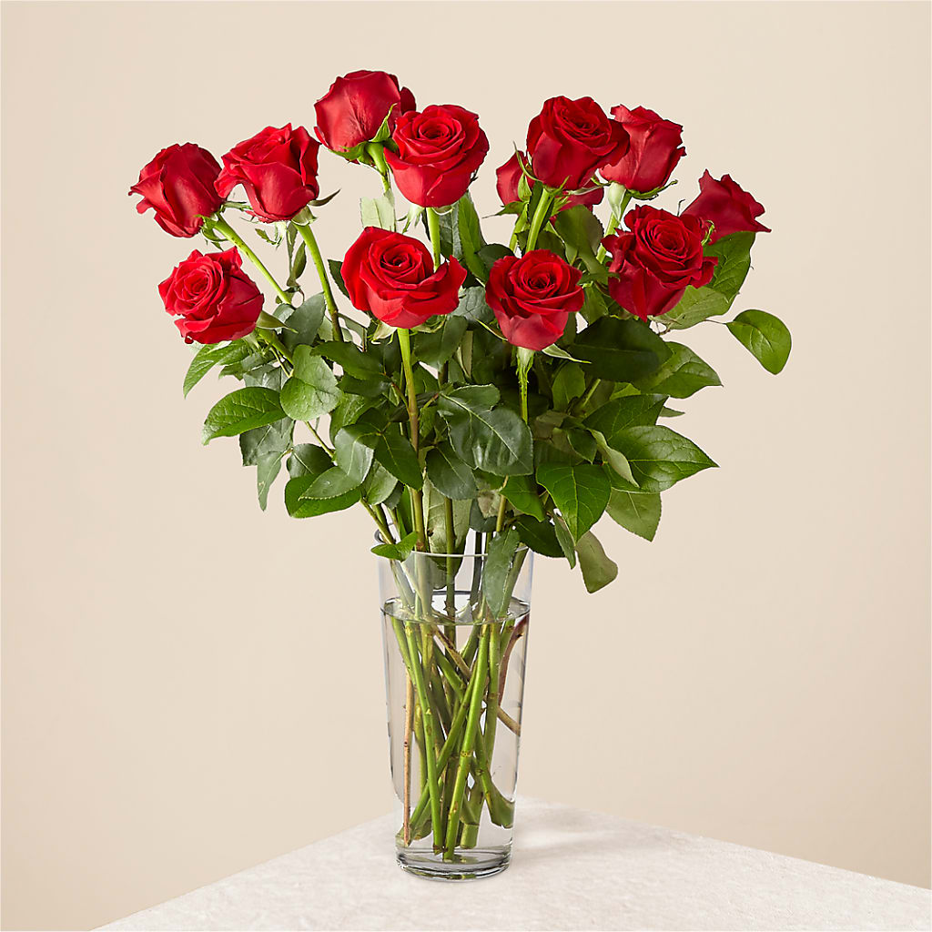 Long Stem Red Rose Bouquet – Fleuriste East Angus Et Maison Du Cadeau, East Angus PQ