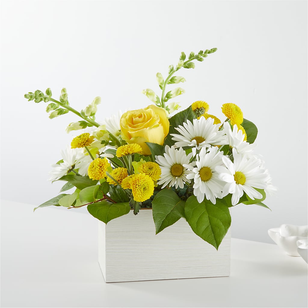 Sun Salutation Box Bouquet – Fleuriste East Angus Et Maison Du Cadeau, East Angus PQ