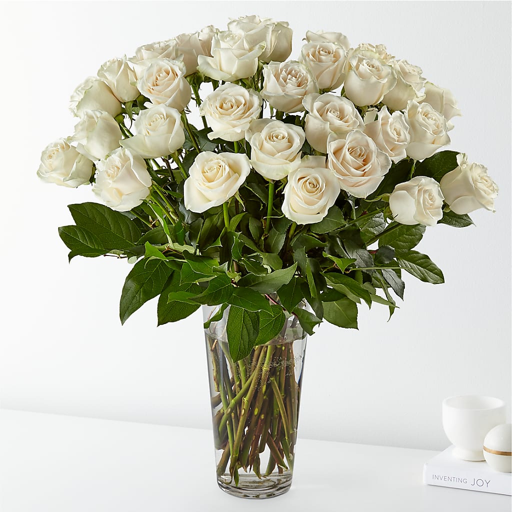 Long Stem White Rose Bouquet – Fleuriste East Angus Et Maison Du Cadeau, East Angus PQ