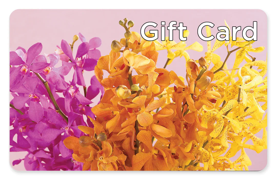 Gift Card – Fleuriste East Angus Et Maison Du Cadeau, East Angus PQ