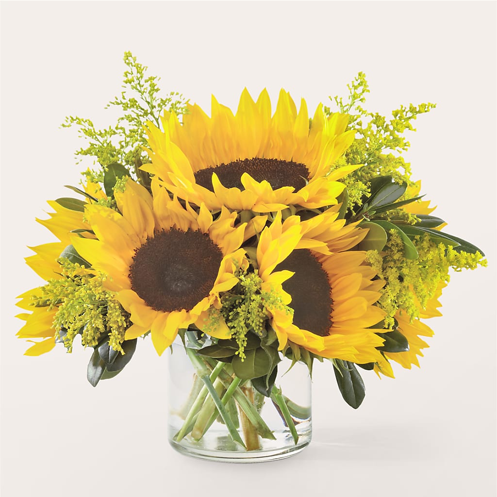 Beaming Sunflower Bouquet – Fleuriste East Angus Et Maison Du Cadeau, East Angus PQ