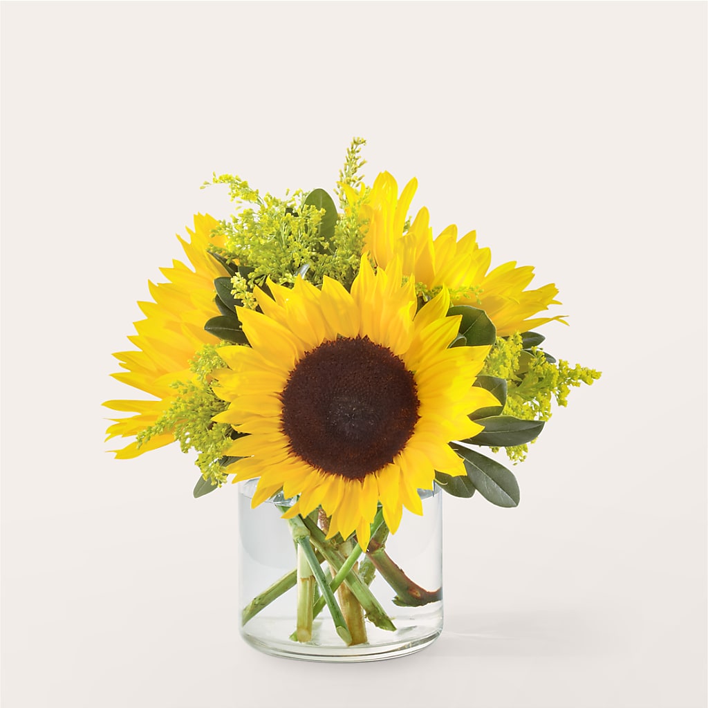 Beaming Sunflower Bouquet – Fleuriste East Angus Et Maison Du Cadeau, East Angus PQ