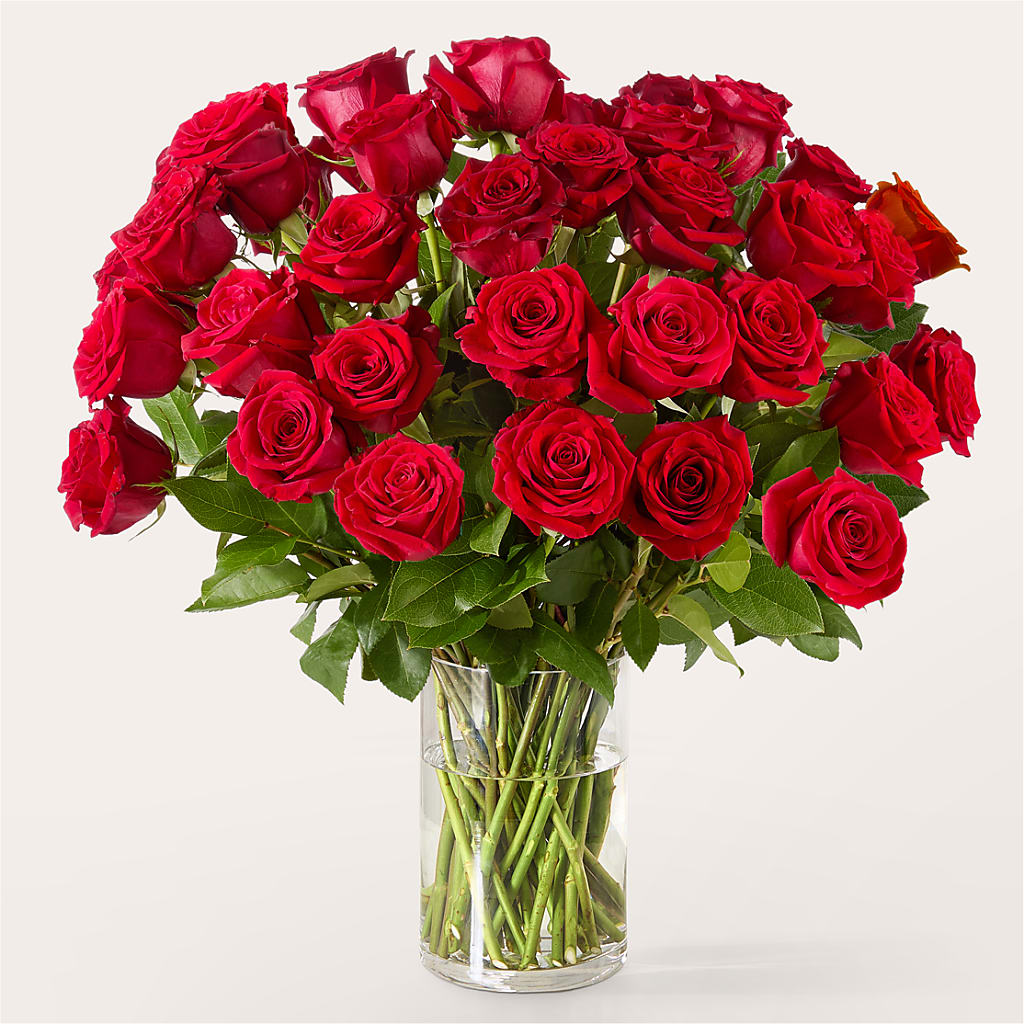 The One Red Rose Bouquet – Fleuriste East Angus Et Maison Du Cadeau, East Angus PQ