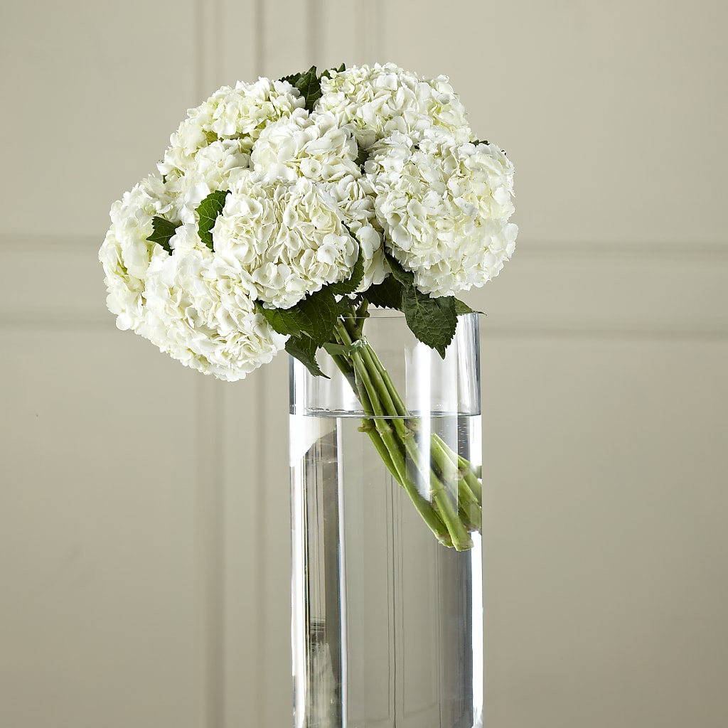 White Hydrangea Hand-Tied Bouquet – Fleuriste East Angus Et Maison Du Cadeau, East Angus PQ