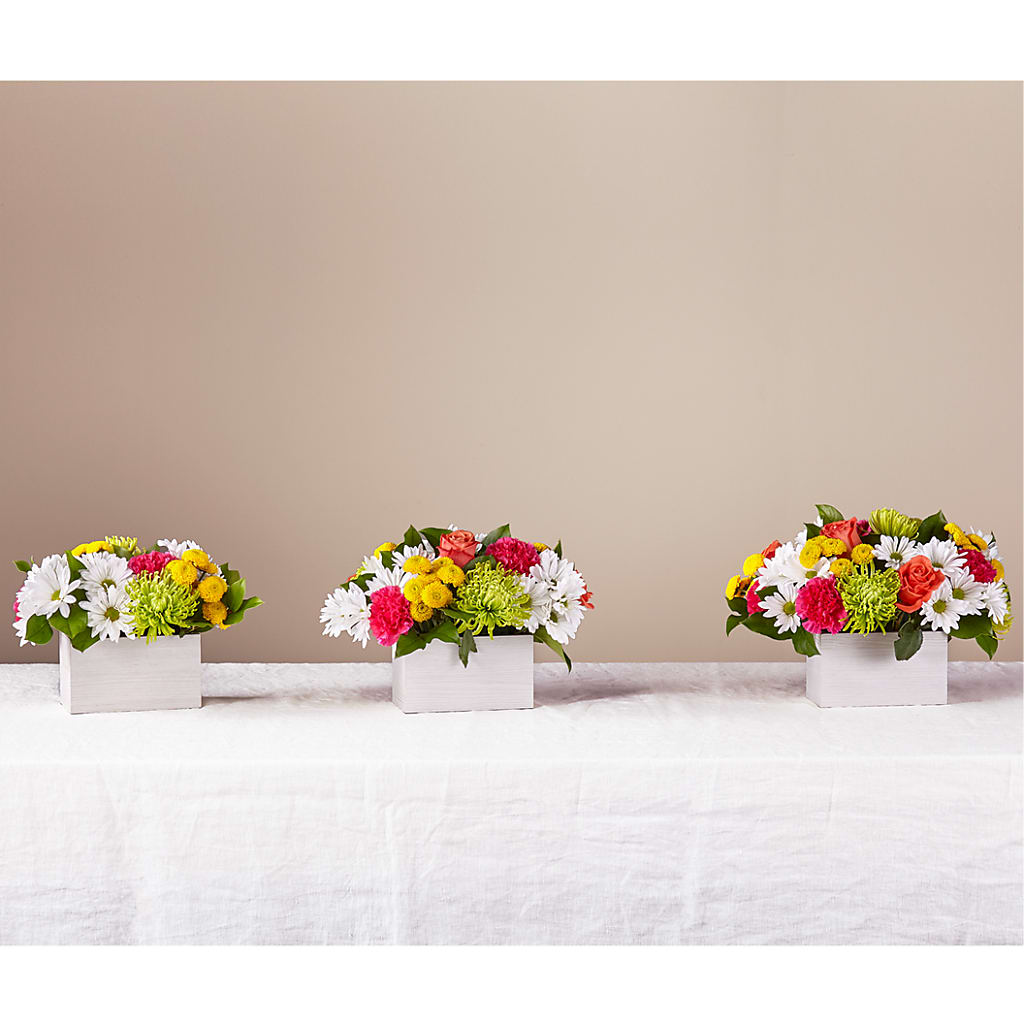 Sorbet Bouquet –  Fleuriste East Angus Et Maison Du Cadeau, East Angus PQ
