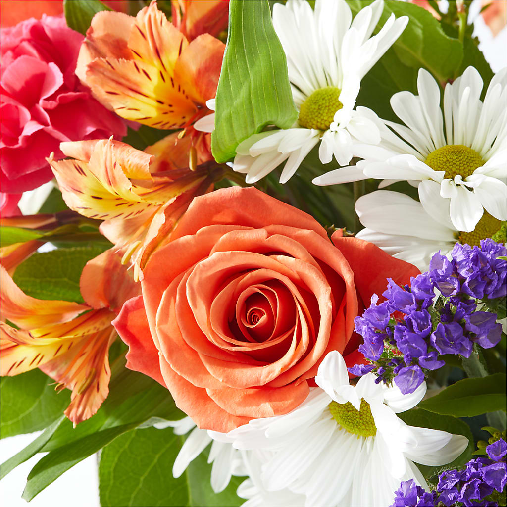 Oopsie Daisy Box Bouquet –  Fleuriste East Angus Et Maison Du Cadeau, East Angus PQ