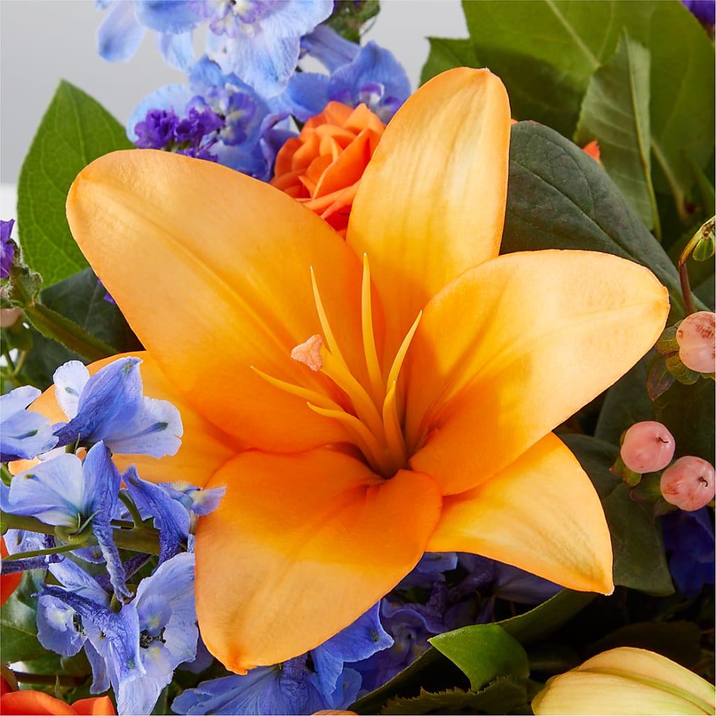 Radiant Citrus Box Bouquet –  Fleuriste East Angus Et Maison Du Cadeau, East Angus PQ