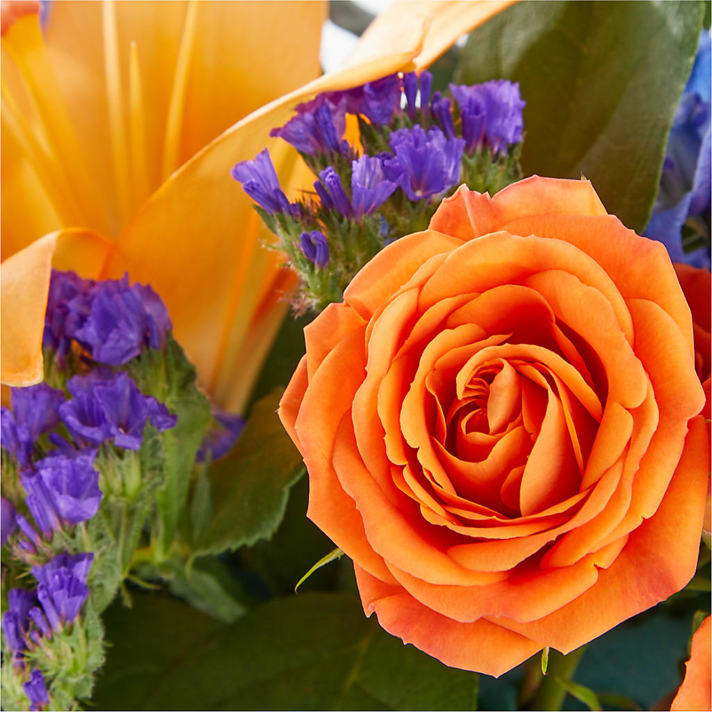 Radiant Citrus Box Bouquet –  Fleuriste East Angus Et Maison Du Cadeau, East Angus PQ
