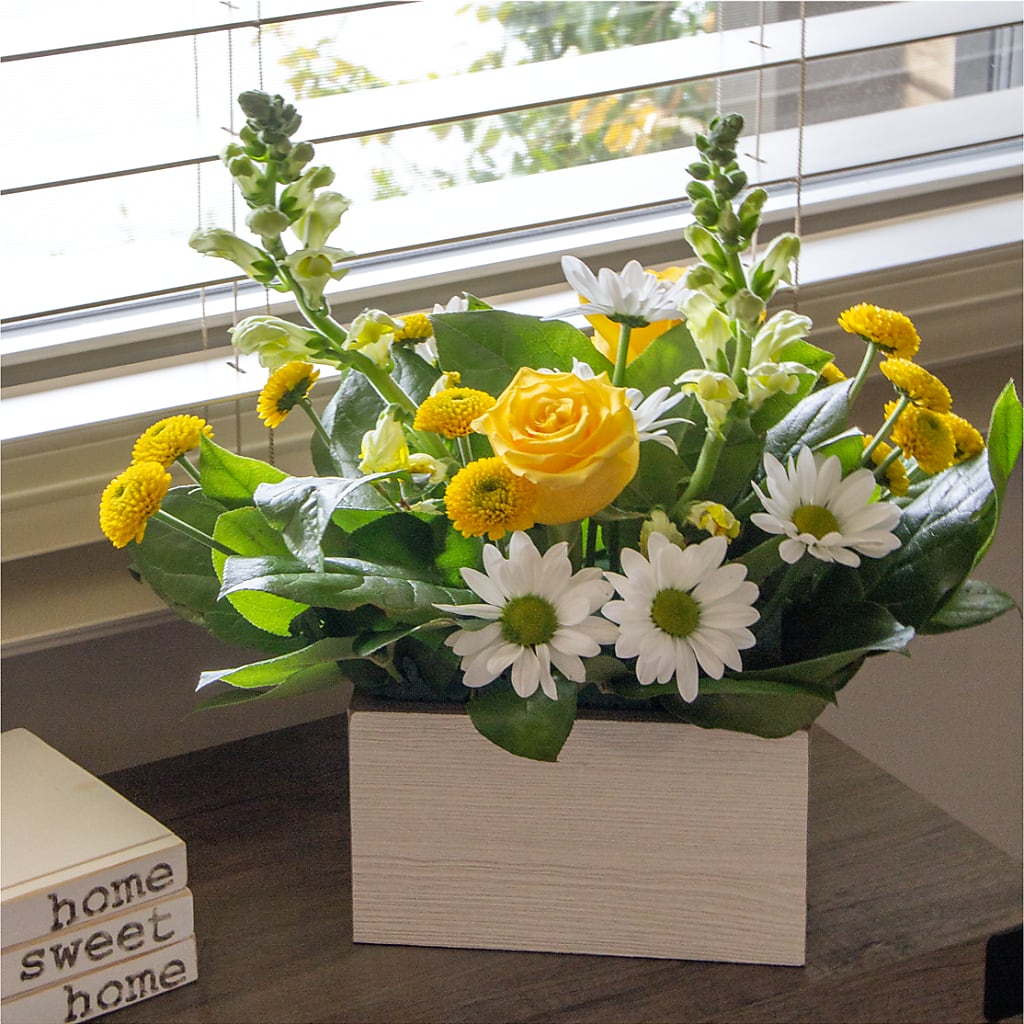 Sun Salutation Box Bouquet –  Fleuriste East Angus Et Maison Du Cadeau, East Angus PQ