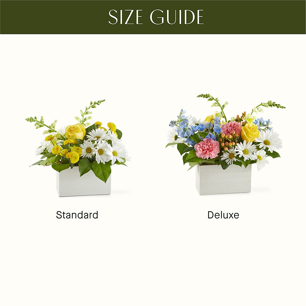 Sun Salutation Box Bouquet –  Fleuriste East Angus Et Maison Du Cadeau, East Angus PQ