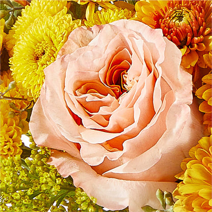 Peachy Pumpkin –  Fleuriste East Angus Et Maison Du Cadeau, East Angus PQ