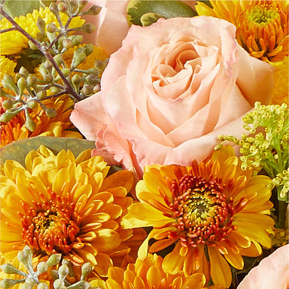 Peachy Pumpkin –  Fleuriste East Angus Et Maison Du Cadeau, East Angus PQ