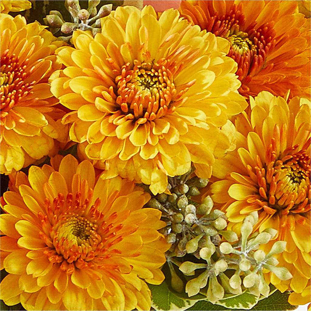 Peachy Pumpkin –  Fleuriste East Angus Et Maison Du Cadeau, East Angus PQ