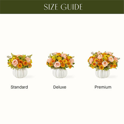 Peachy Pumpkin –  Fleuriste East Angus Et Maison Du Cadeau, East Angus PQ