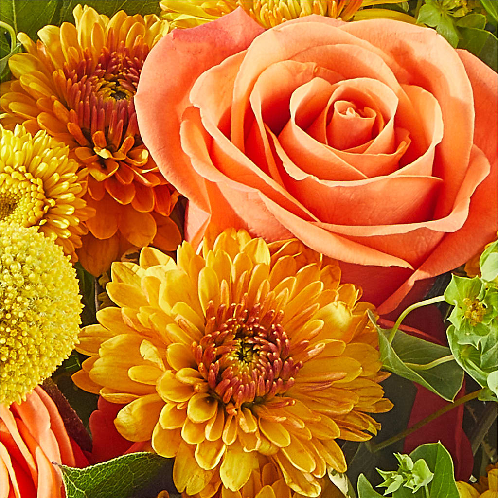 Gourdgeous Pumpkin –  Fleuriste East Angus Et Maison Du Cadeau, East Angus PQ