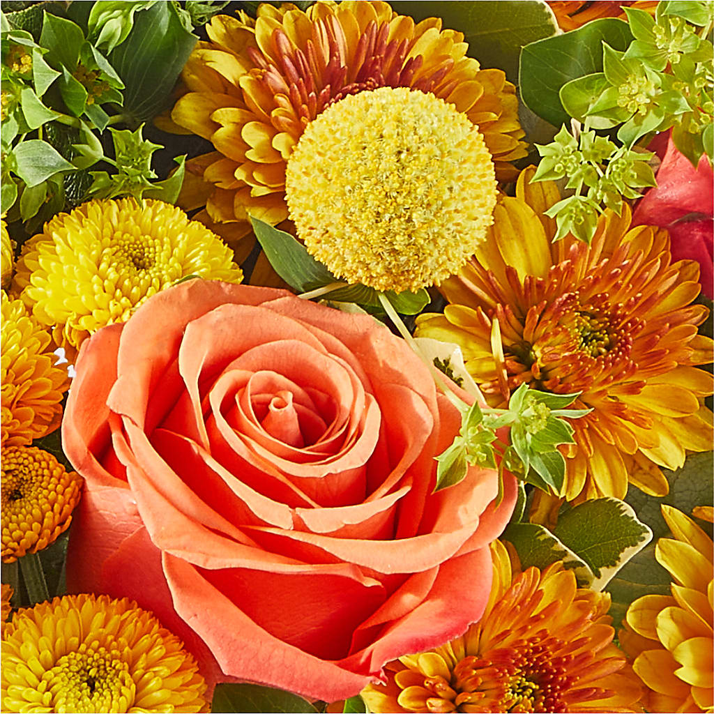 Gourdgeous Pumpkin –  Fleuriste East Angus Et Maison Du Cadeau, East Angus PQ