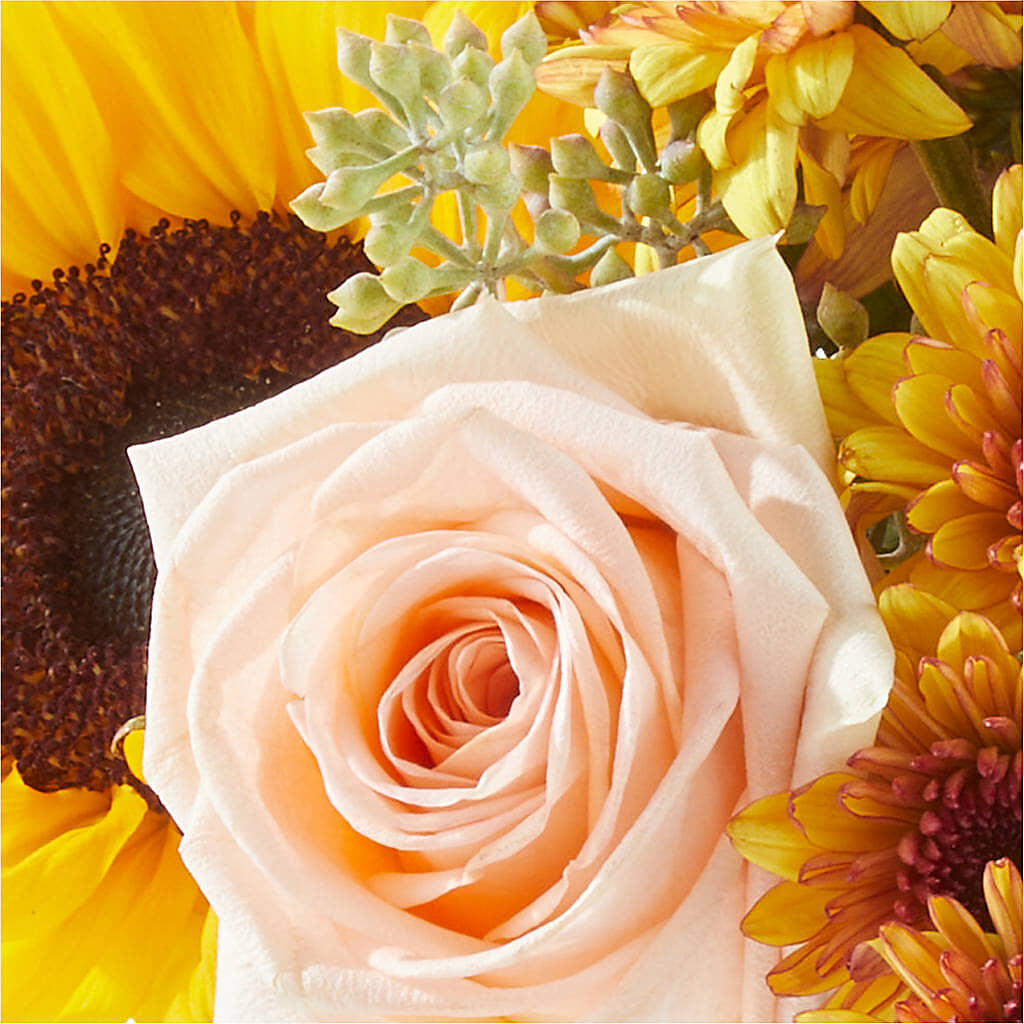 Pumpkin to Talk About Bouquet –  Fleuriste East Angus Et Maison Du Cadeau, East Angus PQ