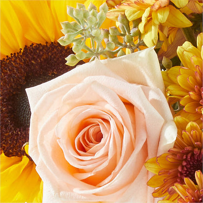 Pumpkin to Talk About Bouquet –  Fleuriste East Angus Et Maison Du Cadeau, East Angus PQ