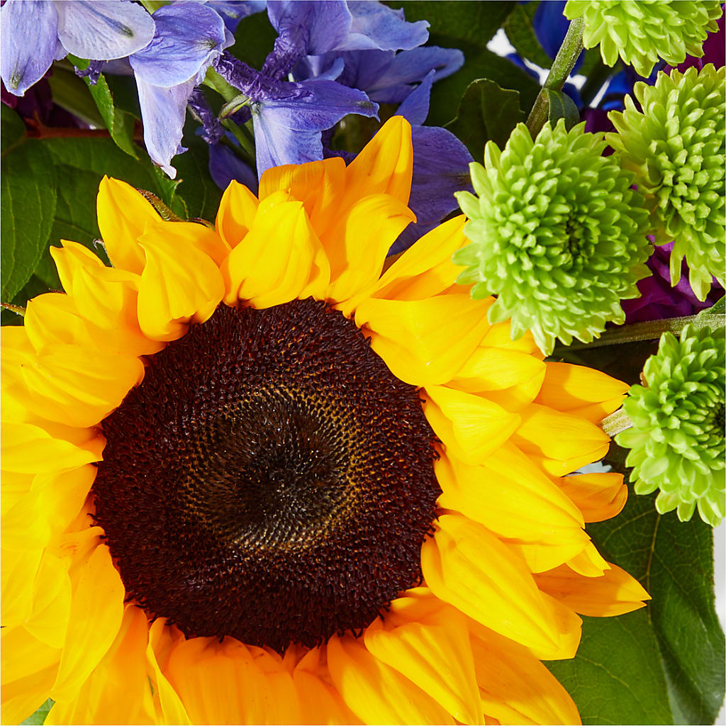 Catching Rays Bouquet –  Fleuriste East Angus Et Maison Du Cadeau, East Angus PQ