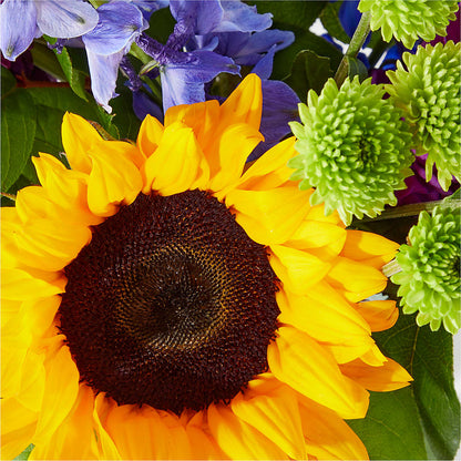 Catching Rays Bouquet –  Fleuriste East Angus Et Maison Du Cadeau, East Angus PQ