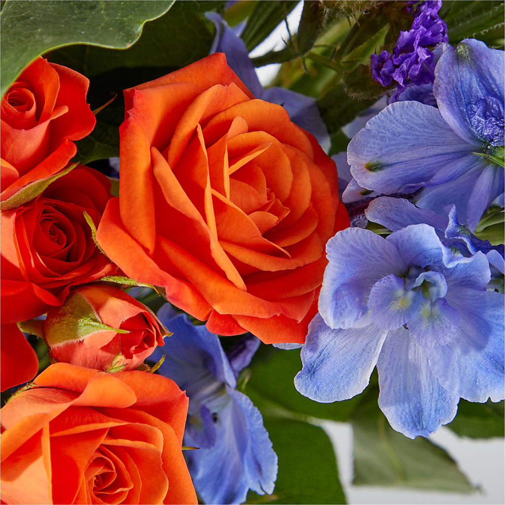 Radiant Citrus Bouquet –  Fleuriste East Angus Et Maison Du Cadeau, East Angus PQ