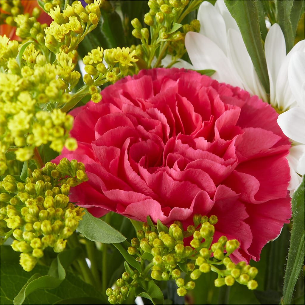 Oopsie Daisy Bouquet –  Fleuriste East Angus Et Maison Du Cadeau, East Angus PQ