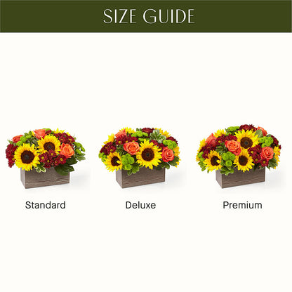 Happy Harvest Garden –  Fleuriste East Angus Et Maison Du Cadeau, East Angus PQ