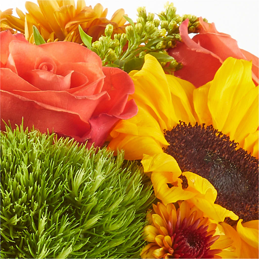 Farmer’s Market Stroll Bouquet –  Fleuriste East Angus Et Maison Du Cadeau, East Angus PQ