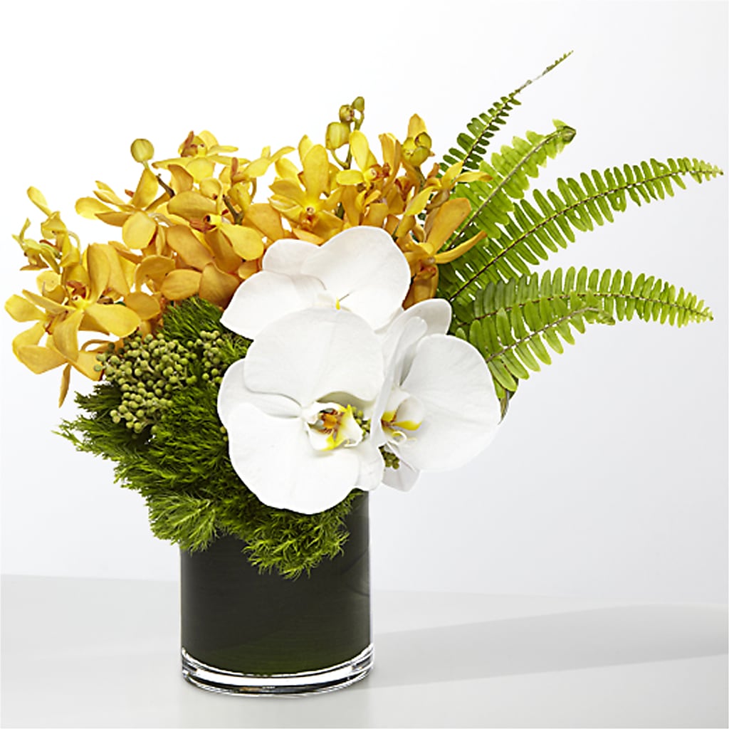 The Tropics –  Fleuriste East Angus Et Maison Du Cadeau, East Angus PQ