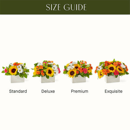 Sun-drenched Blooms Box Bouquet –  Fleuriste East Angus Et Maison Du Cadeau, East Angus PQ