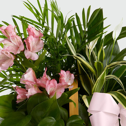 Living Spirit Dishgarden –  Fleuriste East Angus Et Maison Du Cadeau, East Angus PQ