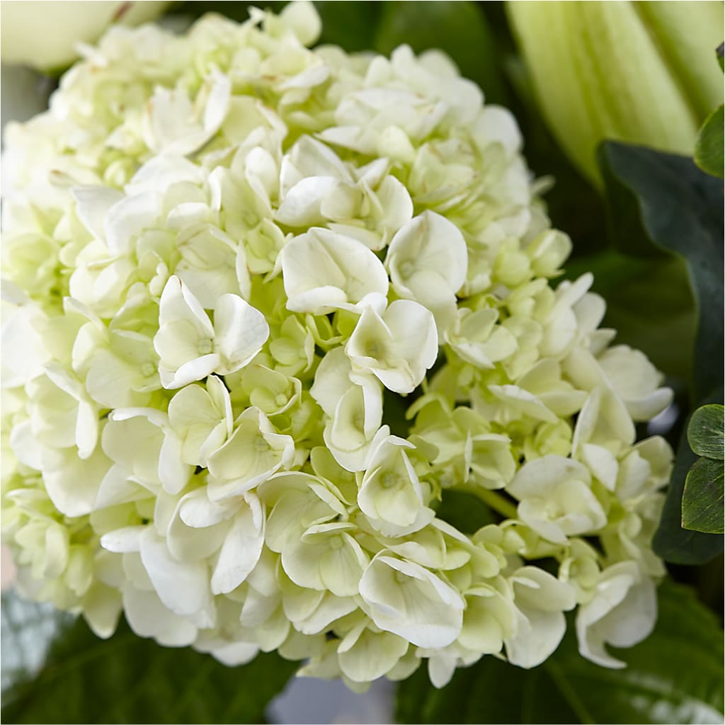 Classic Ivory – A Florist Original –  Fleuriste East Angus Et Maison Du Cadeau, East Angus PQ