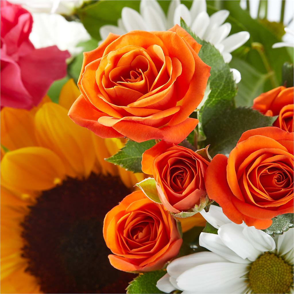 Sun-drenched Blooms Bouquet –  Fleuriste East Angus Et Maison Du Cadeau, East Angus PQ