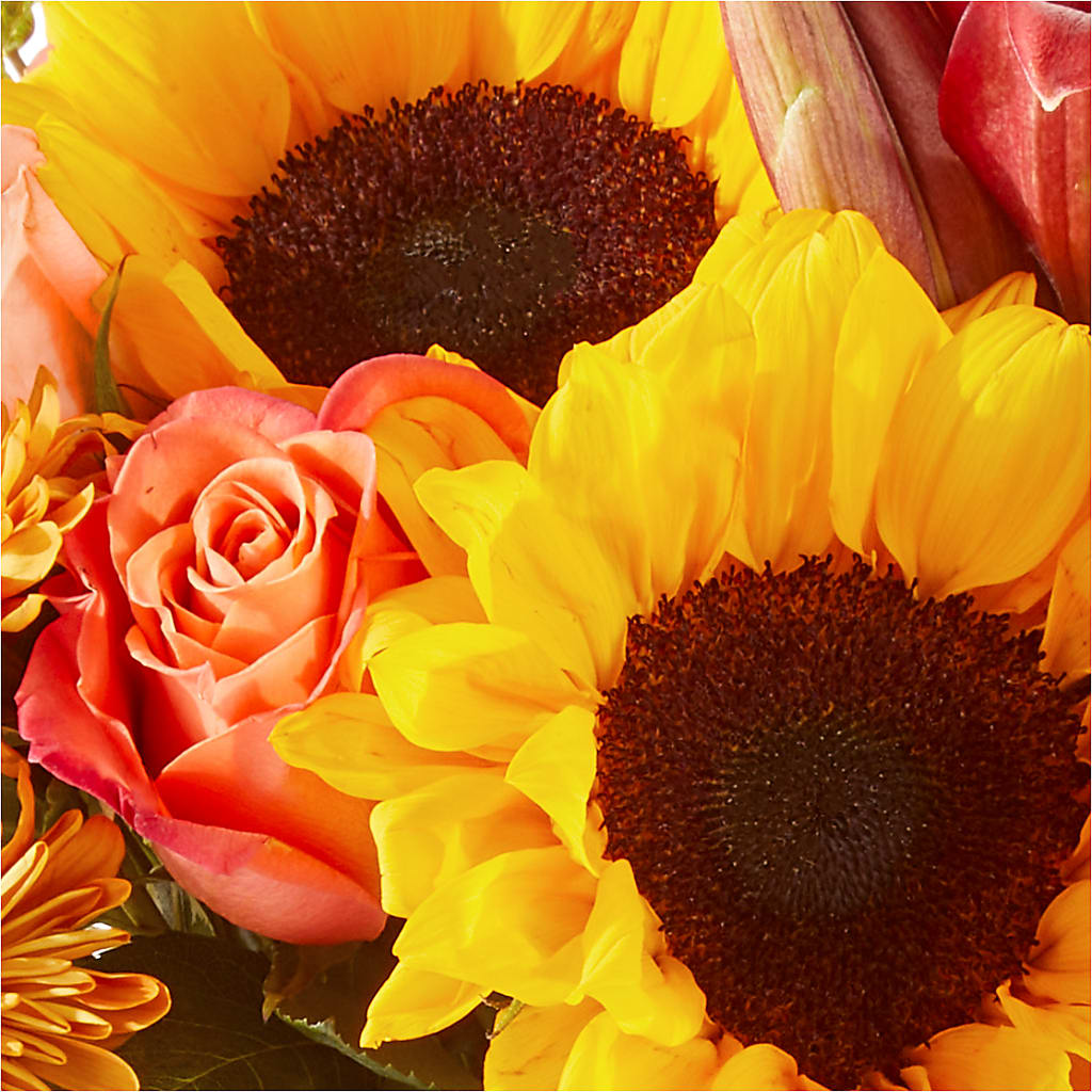 Acorn Lane Bouquet –  Fleuriste East Angus Et Maison Du Cadeau, East Angus PQ