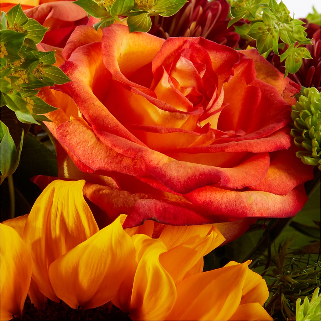 Harvest Festival Bouquet –  Fleuriste East Angus Et Maison Du Cadeau, East Angus PQ