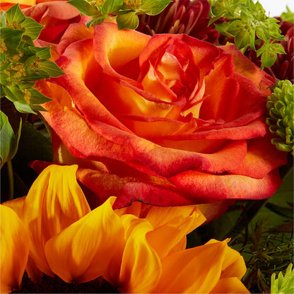 Harvest Festival Bouquet –  Fleuriste East Angus Et Maison Du Cadeau, East Angus PQ