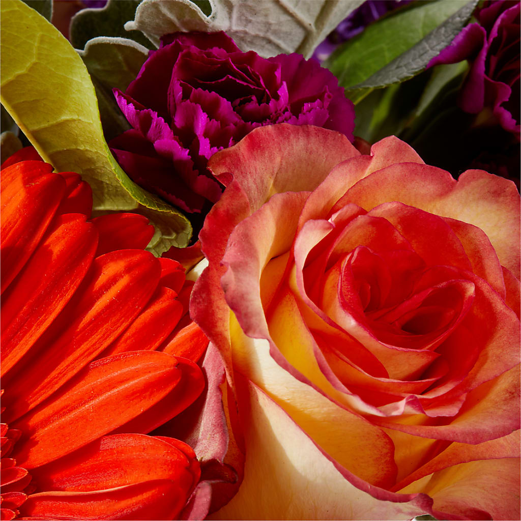 Sangria Bouquet –  Fleuriste East Angus Et Maison Du Cadeau, East Angus PQ
