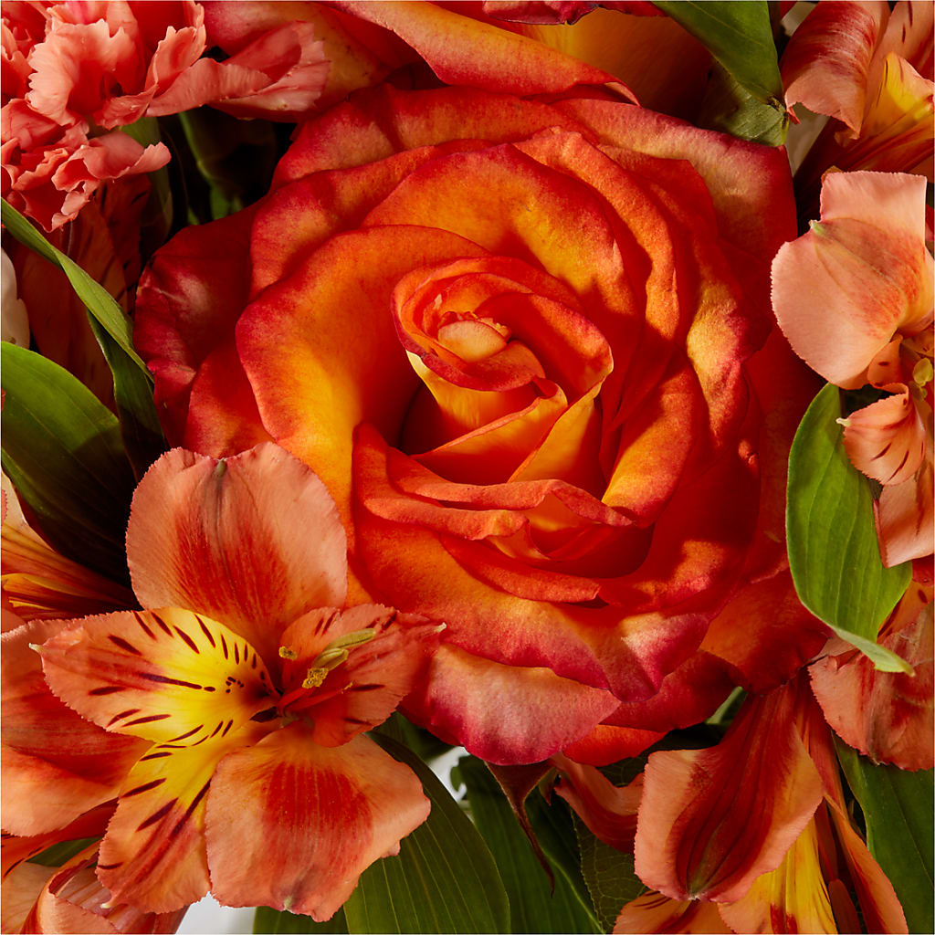 Apricot Glow Bouquet –  Fleuriste East Angus Et Maison Du Cadeau, East Angus PQ