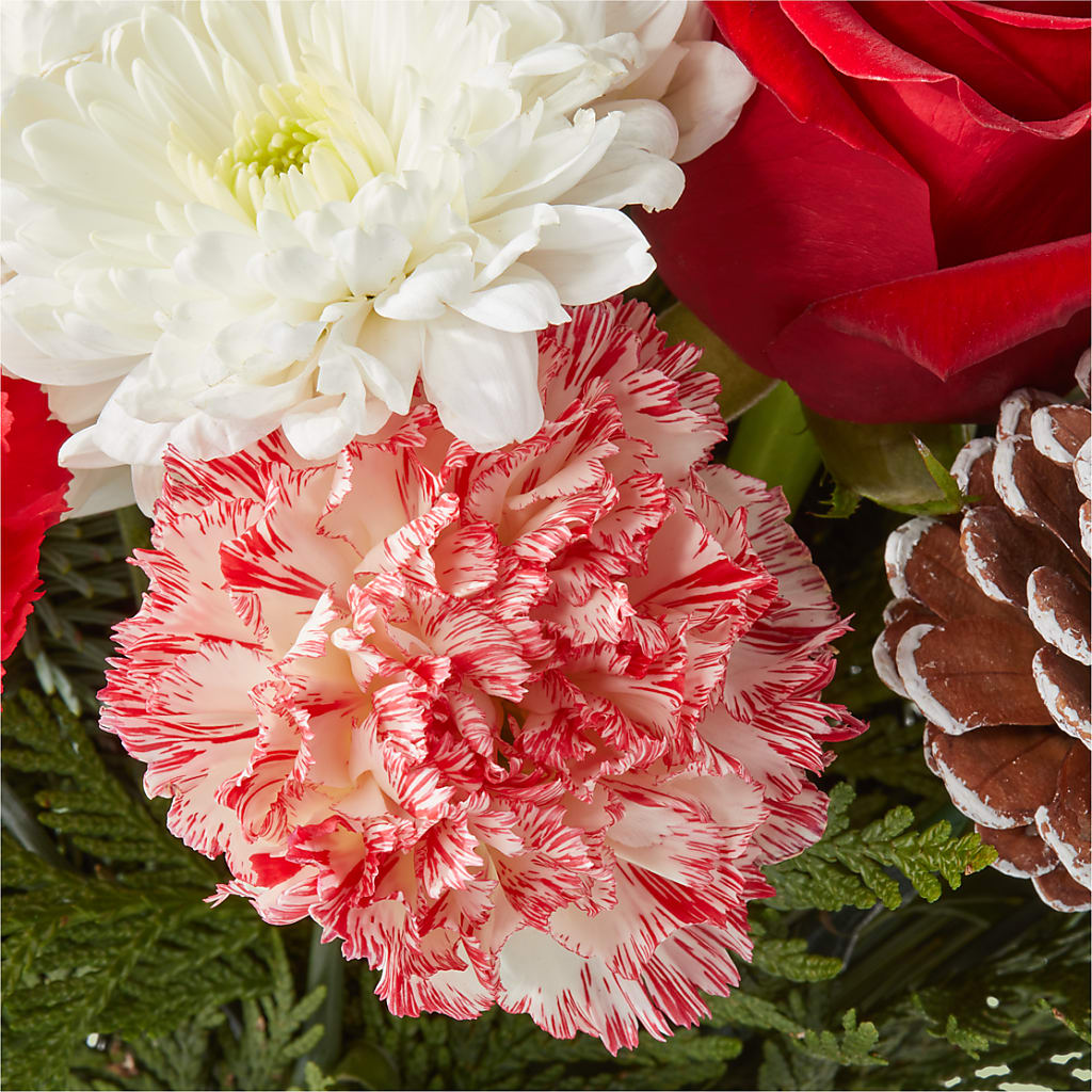 Candy Cane Lane Bouquet –  Fleuriste East Angus Et Maison Du Cadeau, East Angus PQ