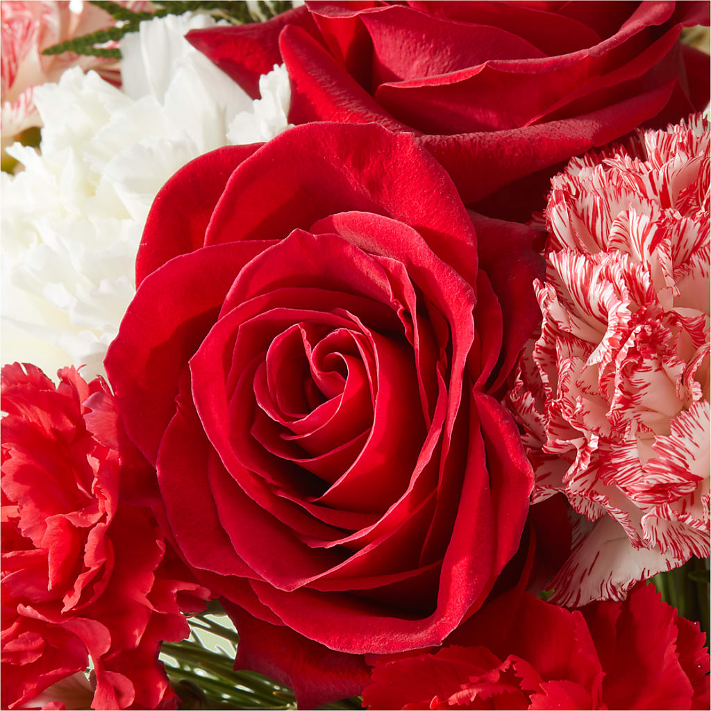 Candy Cane Lane Bouquet –  Fleuriste East Angus Et Maison Du Cadeau, East Angus PQ