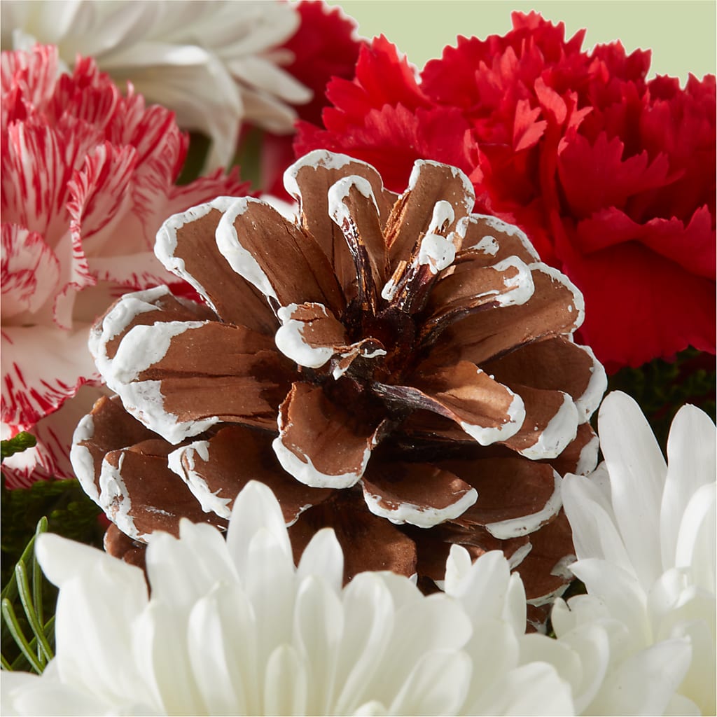Candy Cane Lane Bouquet –  Fleuriste East Angus Et Maison Du Cadeau, East Angus PQ