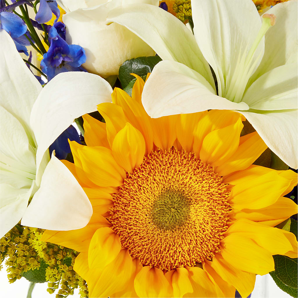 Stargazing Bouquet –  Fleuriste East Angus Et Maison Du Cadeau, East Angus PQ
