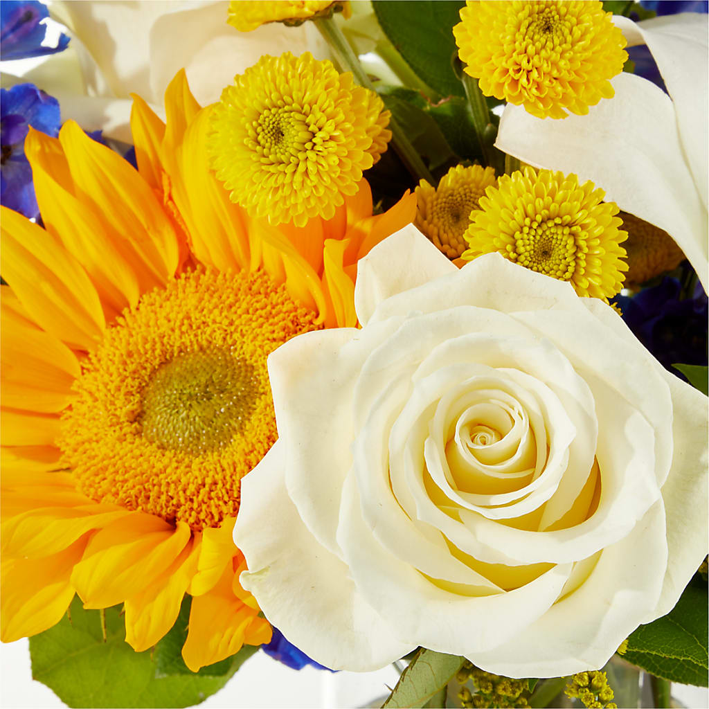 Stargazing Bouquet –  Fleuriste East Angus Et Maison Du Cadeau, East Angus PQ
