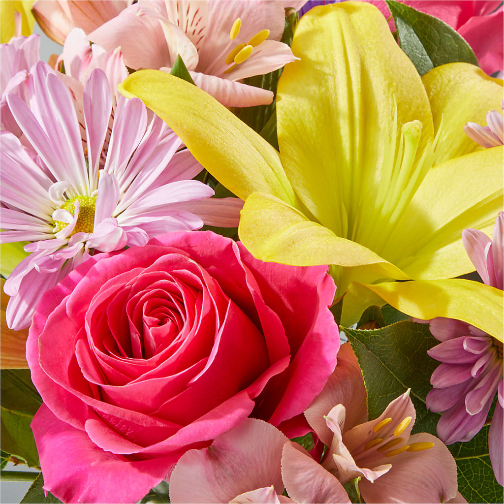 Sprinkles Bouquet –  Fleuriste East Angus Et Maison Du Cadeau, East Angus PQ