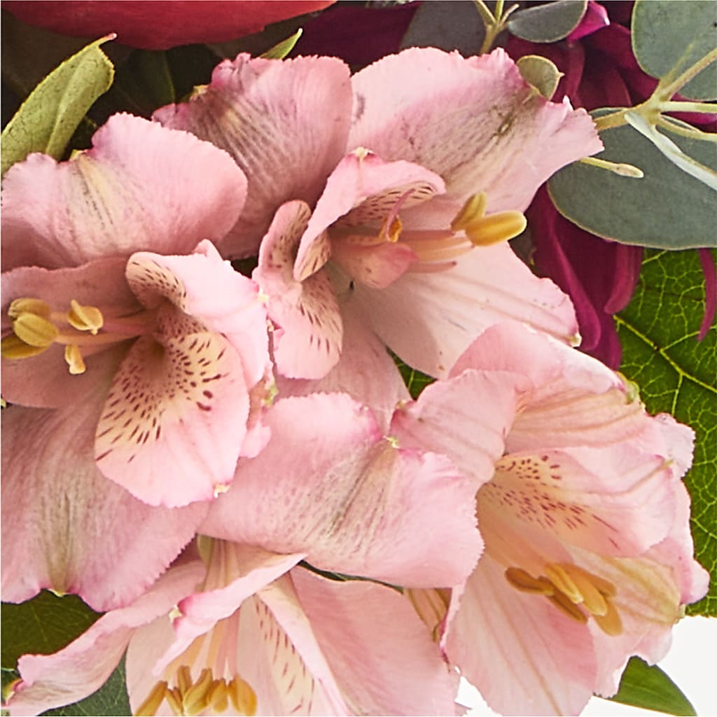 Berry Cobbler Bouquet –  Fleuriste East Angus Et Maison Du Cadeau, East Angus PQ