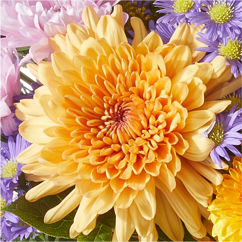 Countryside Bouquet –  Fleuriste East Angus Et Maison Du Cadeau, East Angus PQ
