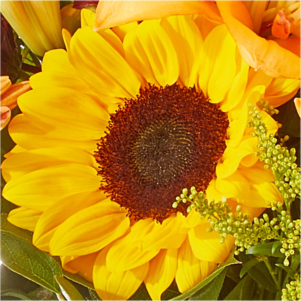 Seasons Change Bouquet –  Fleuriste East Angus Et Maison Du Cadeau, East Angus PQ
