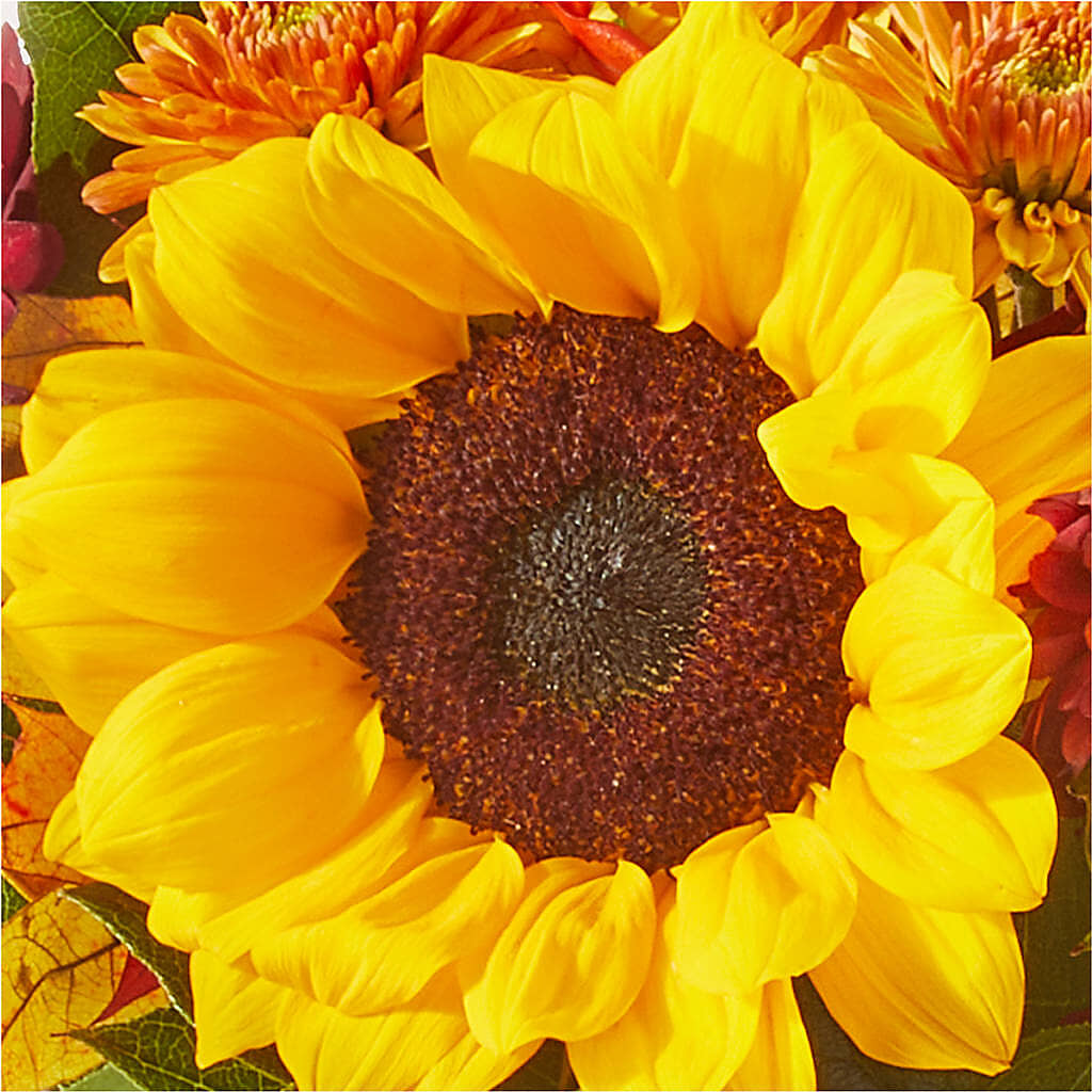 Sunny Side Bouquet –  Fleuriste East Angus Et Maison Du Cadeau, East Angus PQ