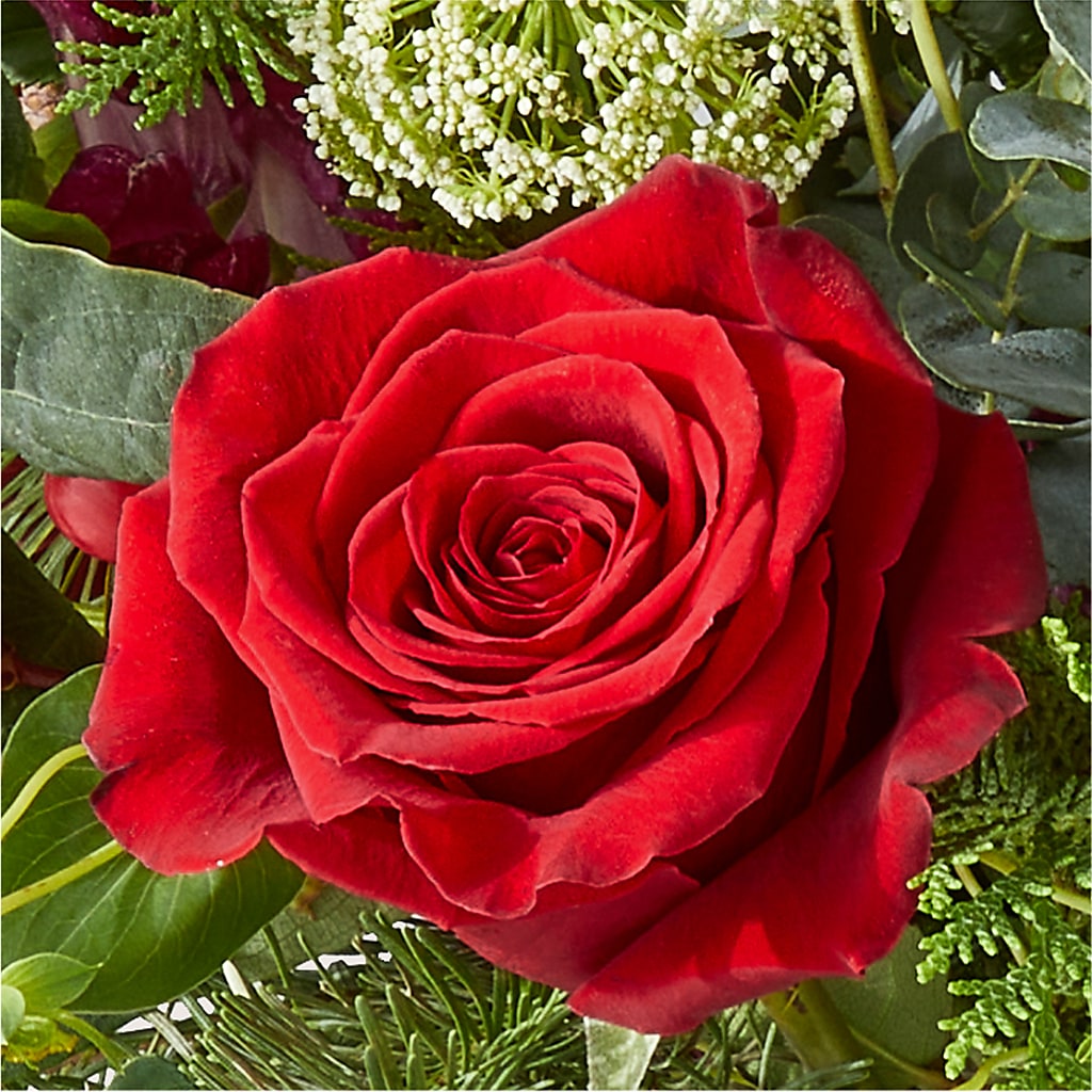 Cranberry Fizz Bouquet –  Fleuriste East Angus Et Maison Du Cadeau, East Angus PQ